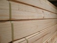 /album/produtos/documento-981-jpg1/